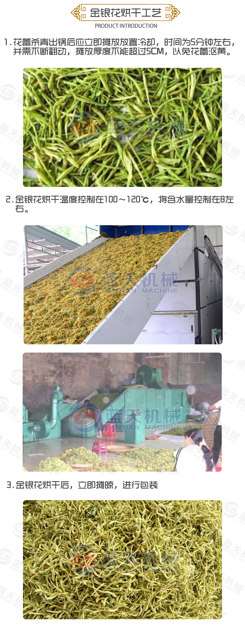 金銀花網帶式烘干機烘干工藝