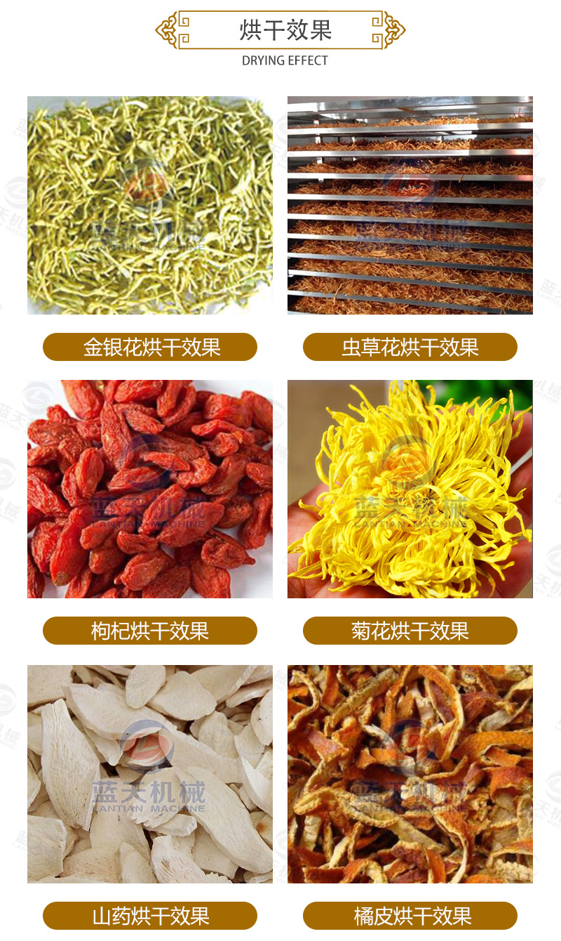 金銀花網帶式烘干機烘干效果